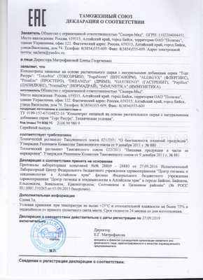 DreamZzz сертификат в Модене