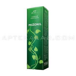 Mizonil в Брешиа